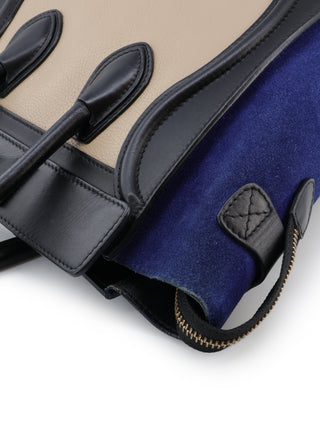 Tricolor Micro Luggage Tote Bag