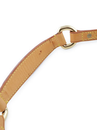 Monogram Tiakal PM Handbag