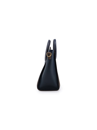 Nano Luggage Tote Bag
