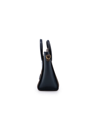 Nano Luggage Tote Bag