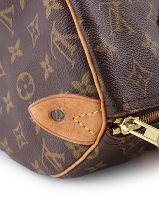 Monogram Speedy 30 Handbag
