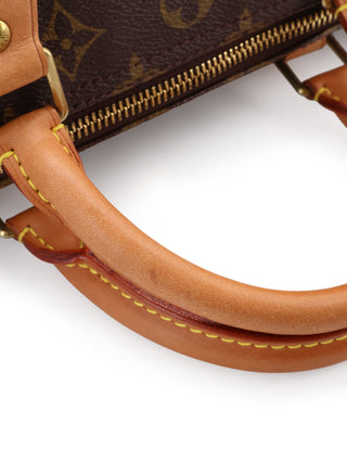 Monogram Speedy 30 Handbag