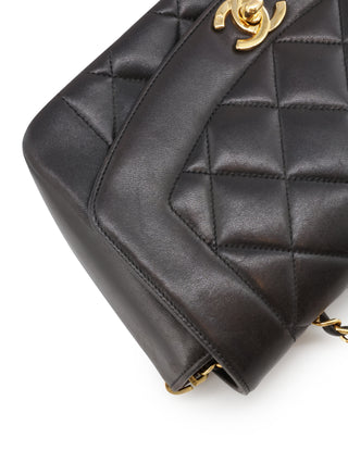 Diana Flap 23 Shoulder Bag