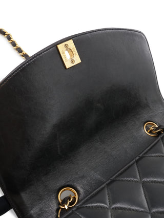 Diana Flap 23 Shoulder Bag