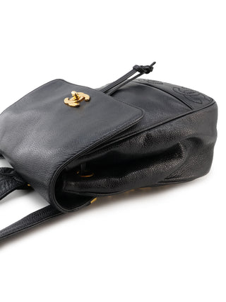 Triple Coco Backpack