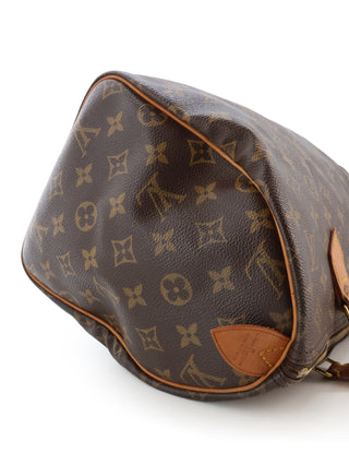 Monogram Speedy 30 Handbag