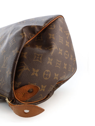 Monogram Speedy 30 Handbag